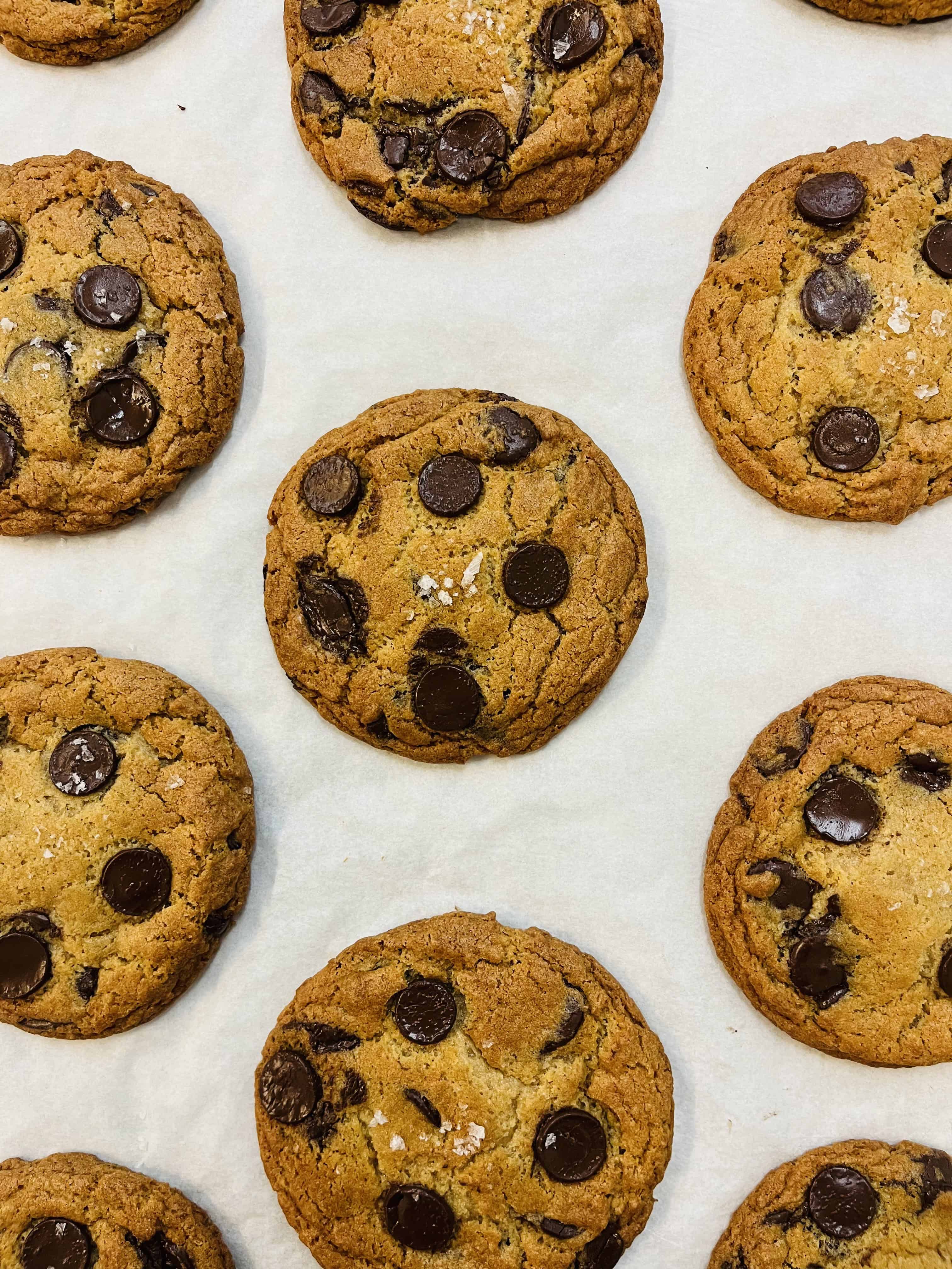 Chewy chocolate chip cookies on a sheet tray after baking