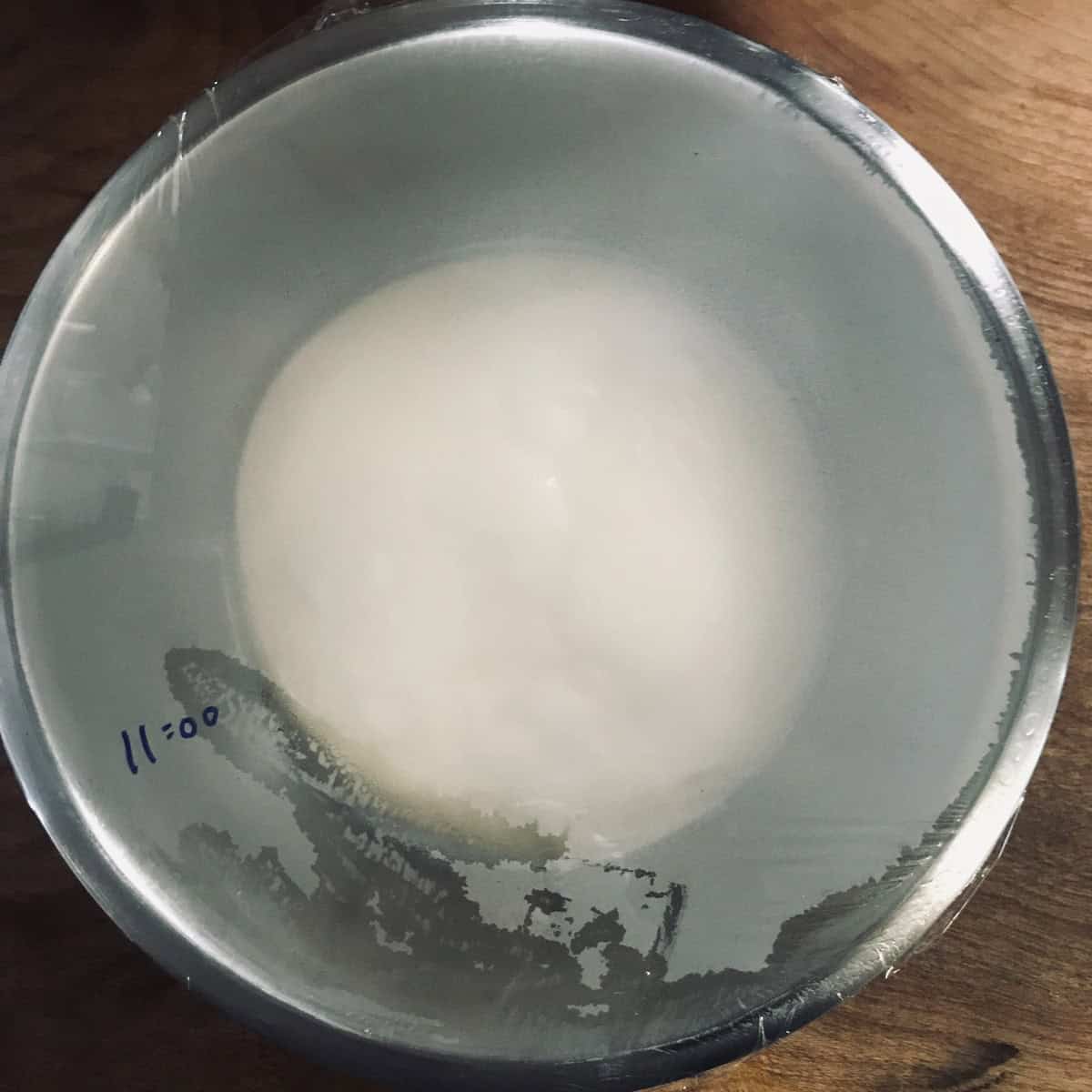Dough in bowl, before proofing