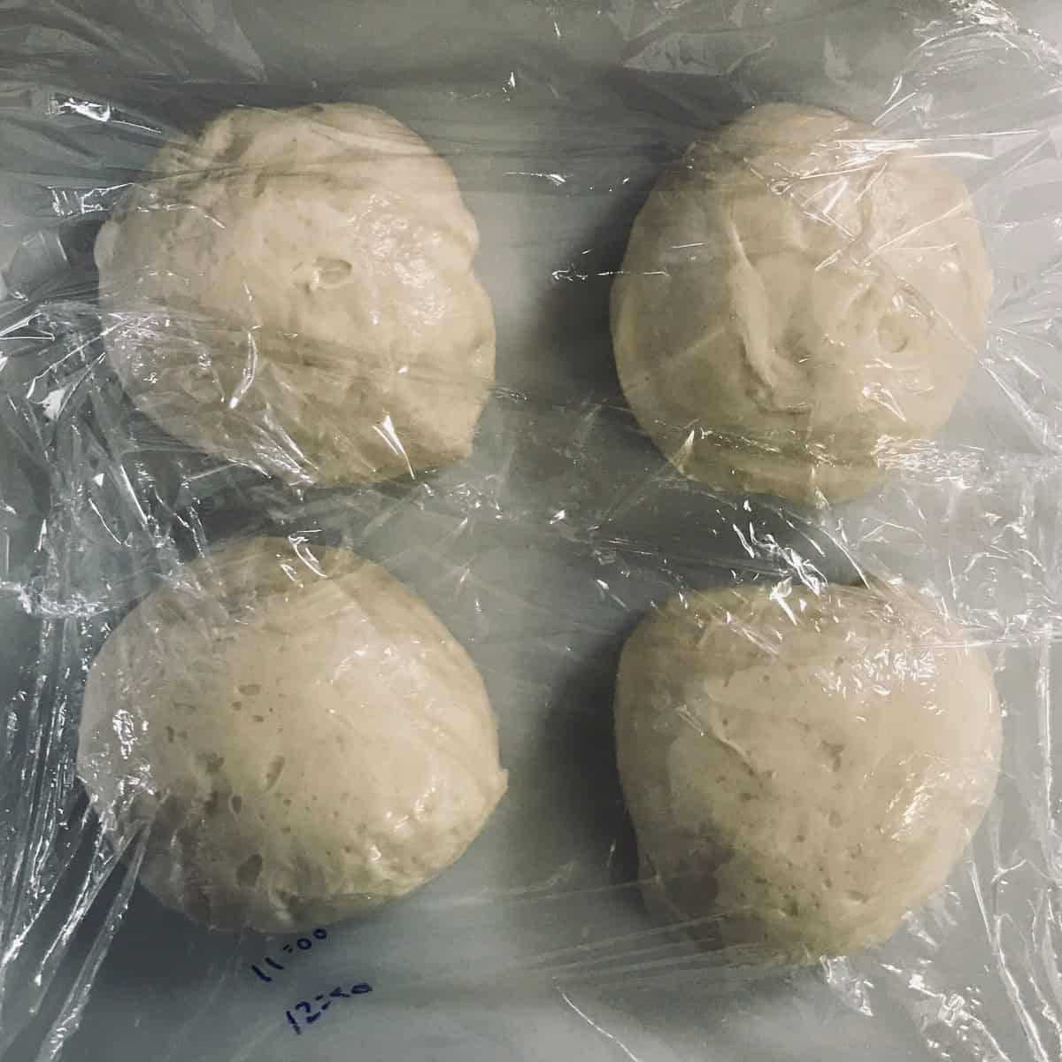 Dough divided and rounded into four balls