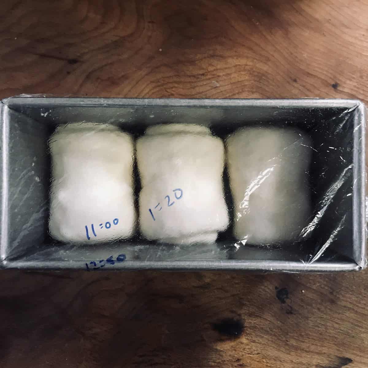 three rolls in pan with plastic wrap covering, before proofing