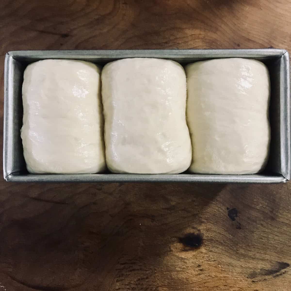 three rolls proofed to the to of pan