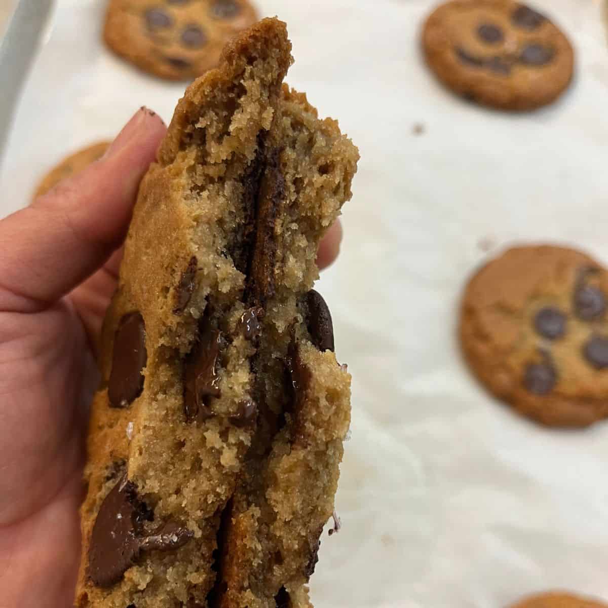 The interior of a freshly baked chocolate chip cookie.