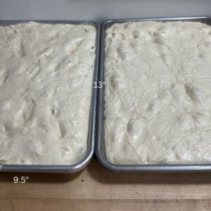 Two pans with dough filled to the sides and top.  There are numbers that show the pan is 9" x 13".