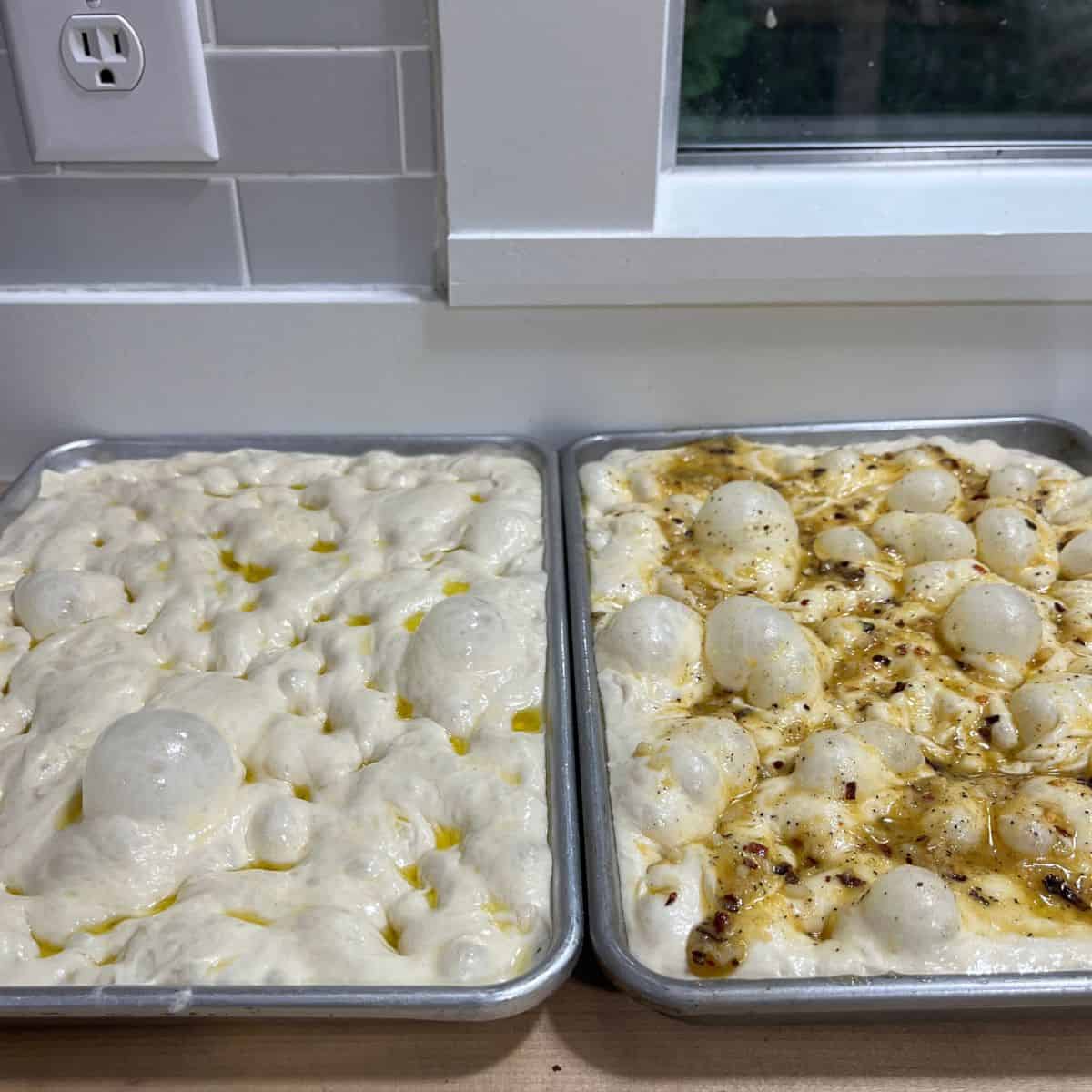 Two trays with focaccia dough filling the pan.  Dimpled and ready for the oven.