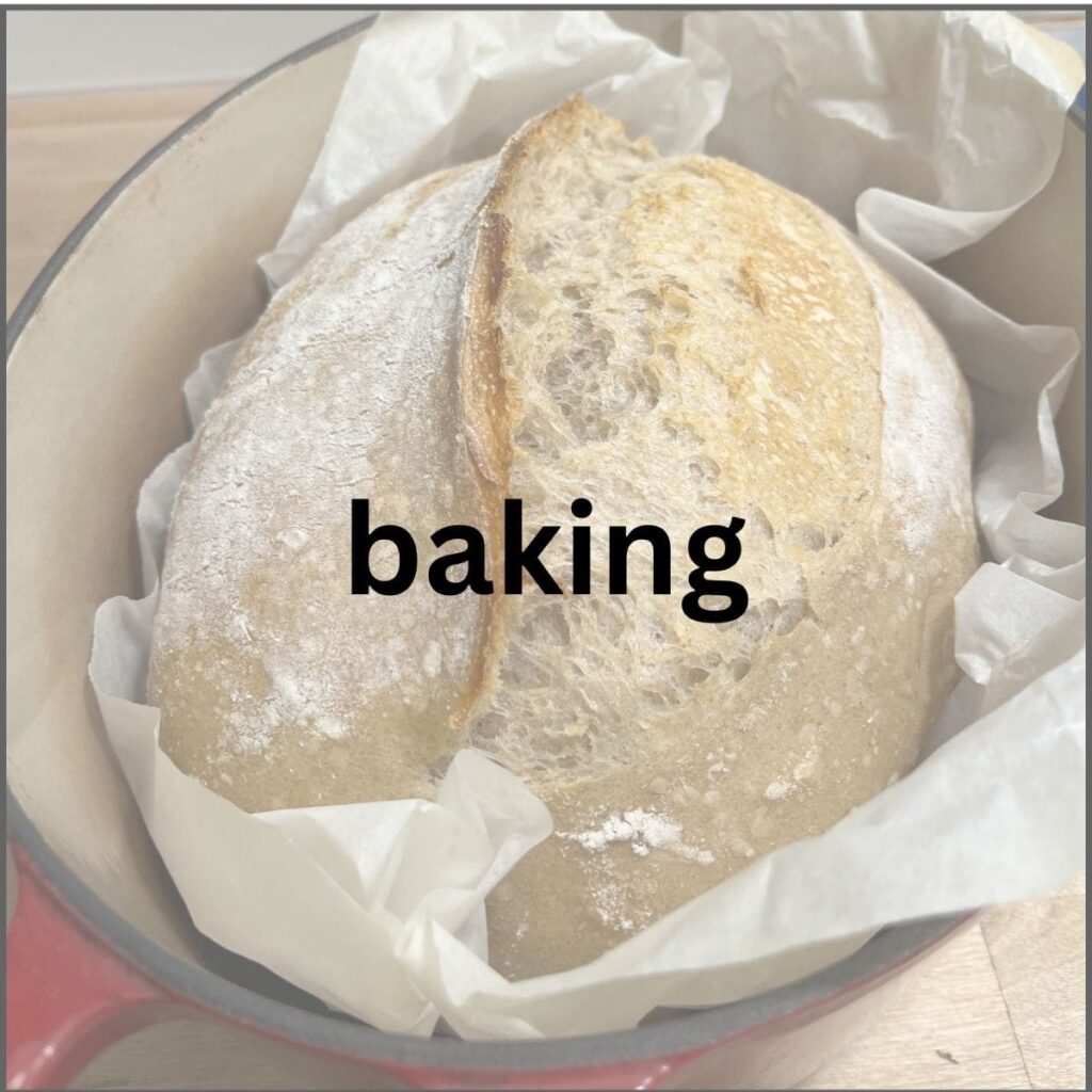Dough after 20 minutes of baking in the dutch oven. Lid removed.