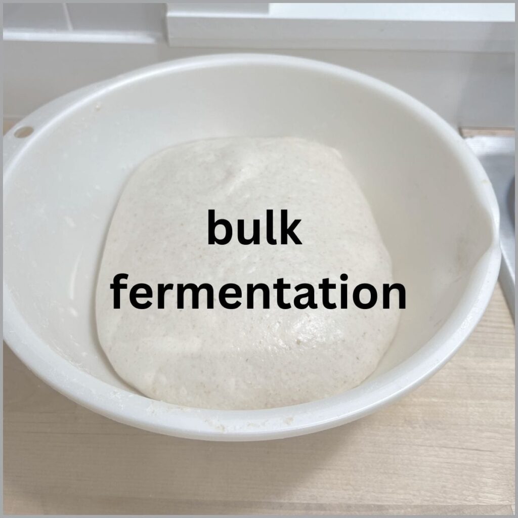 A bowl with smooth dough