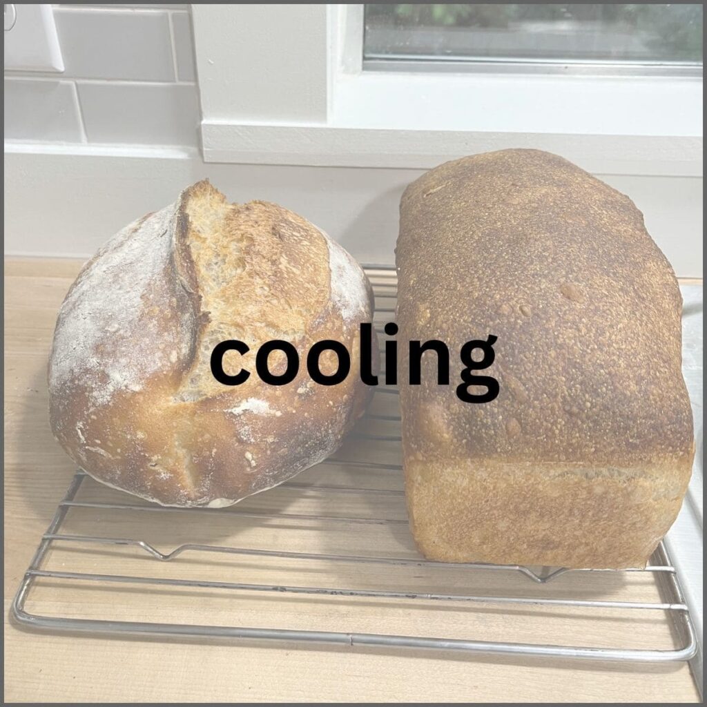 Two loaves of bread on a cooling rack.