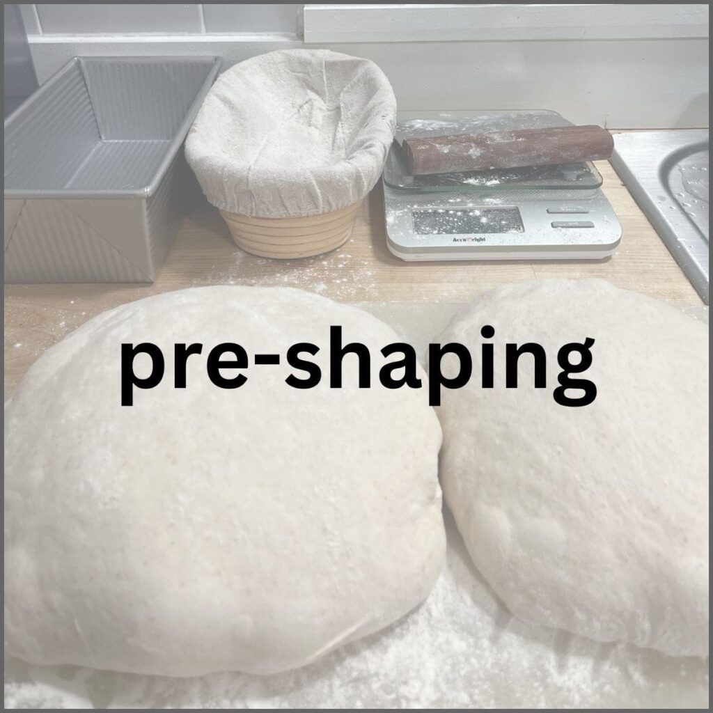 Two preshaped doughs, with a scale, bench scraper basket and bread pan in the background.