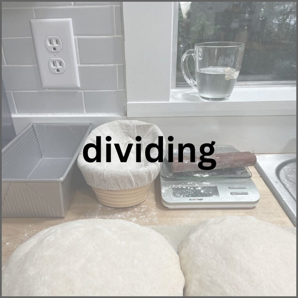 Two doughs, with a scale, bench scraper basket and bread pan in the background.
