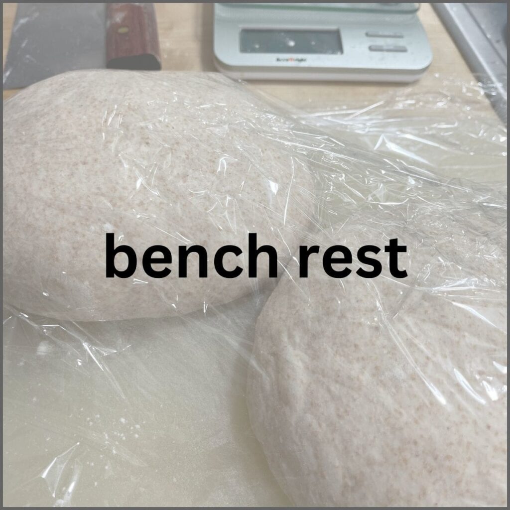 Two pre-shaped doughs covered with plastic wrap.