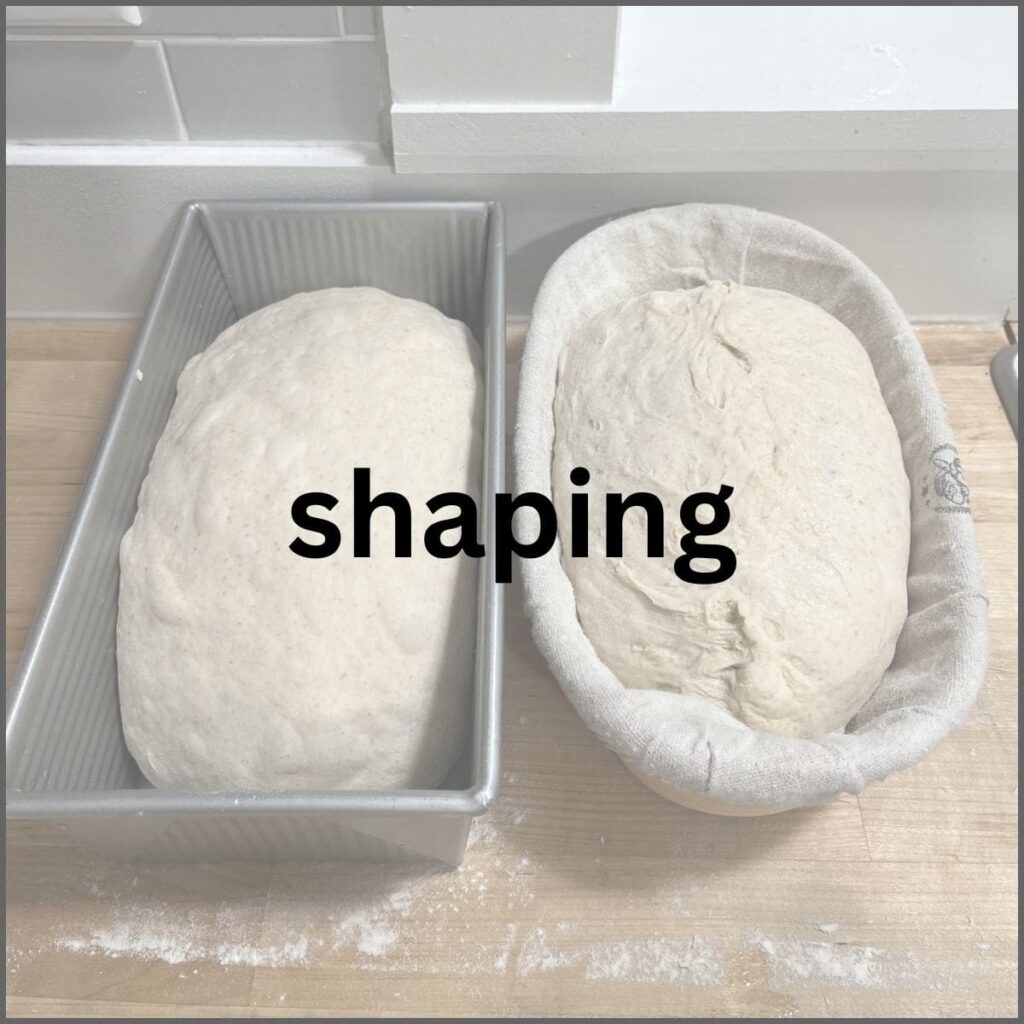 One dough in a pan and one dough in a proofing basket before putting it in the fridge.