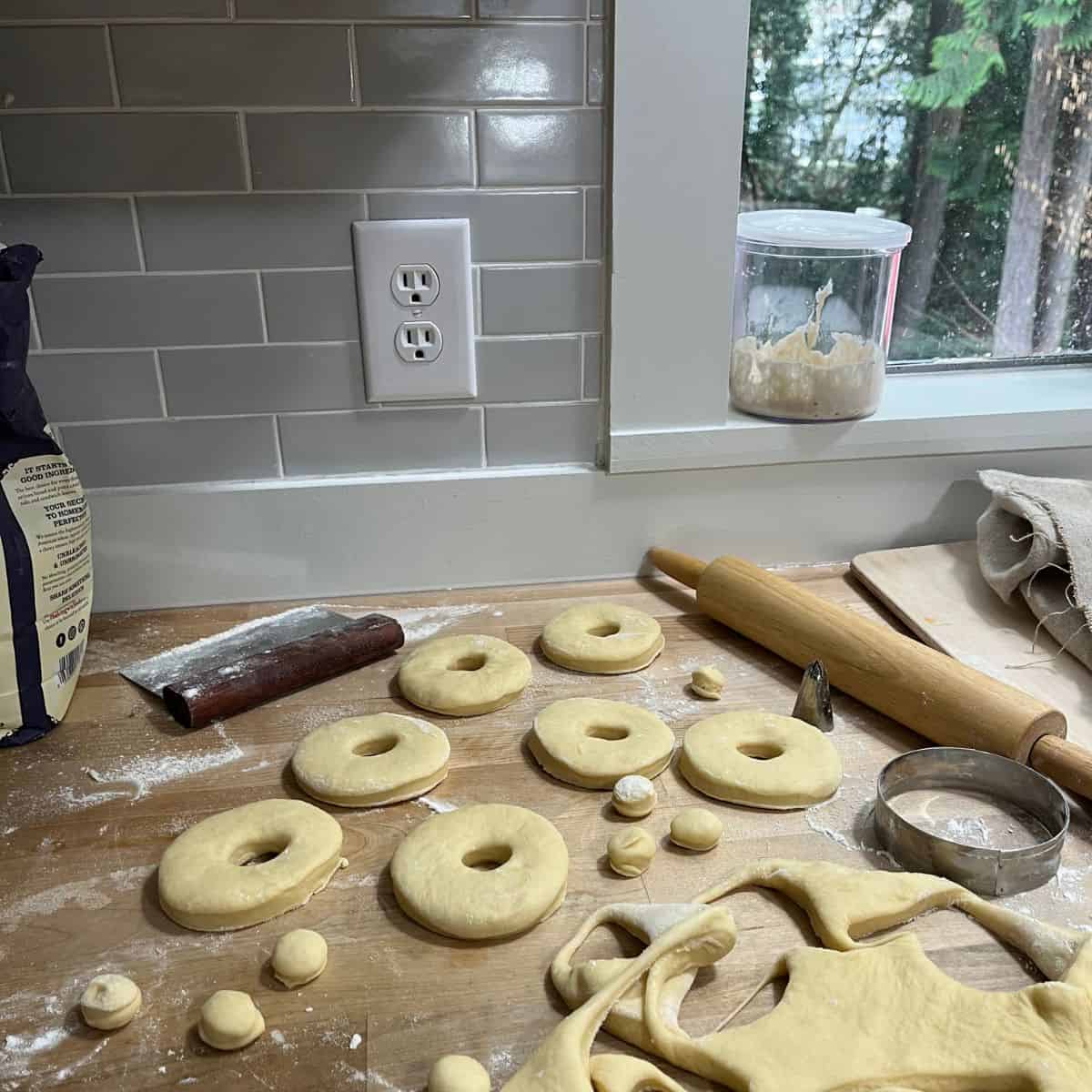 donuts dough - rolled out and punched out