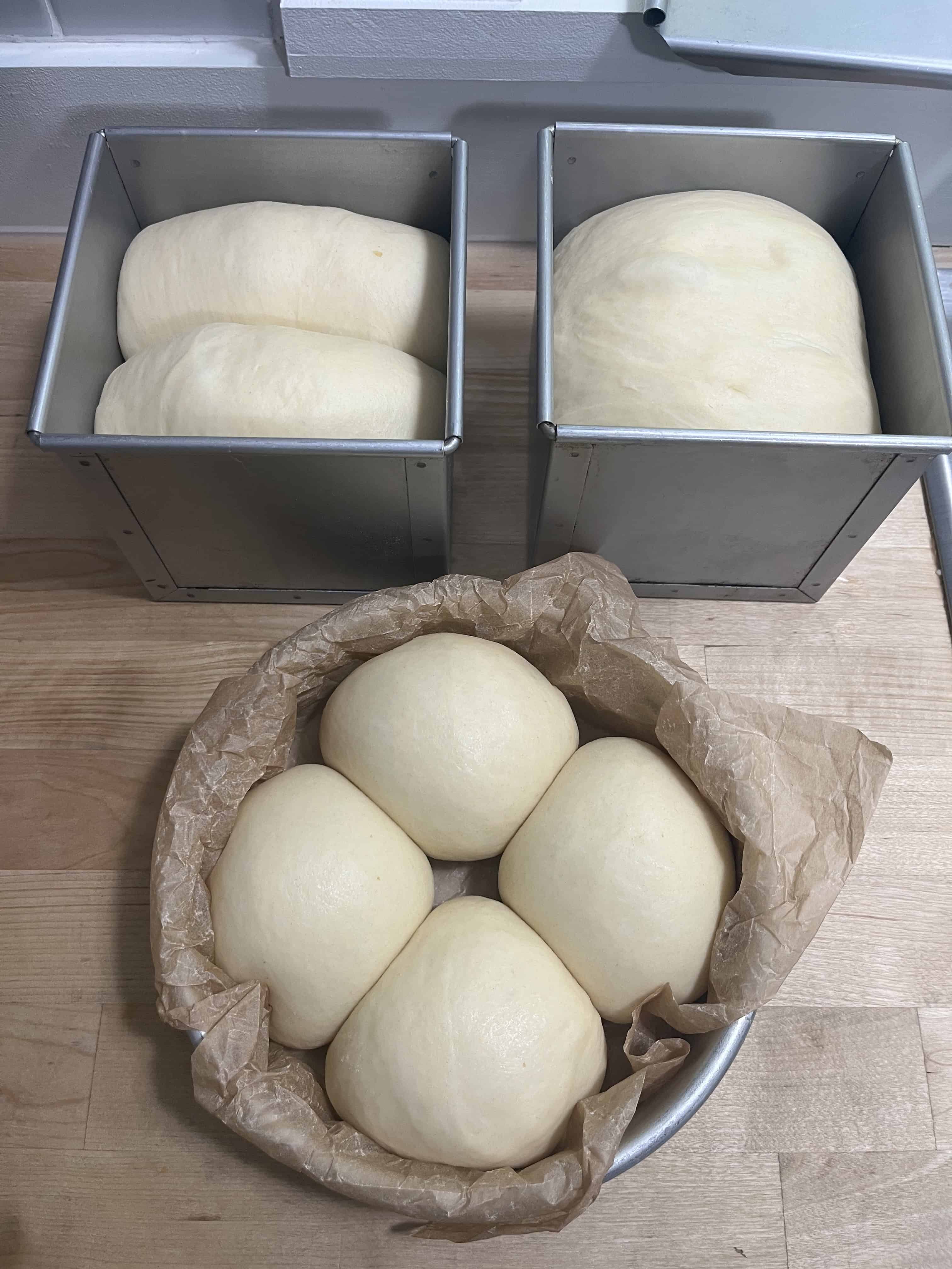 Proofed pans of bread and rolls