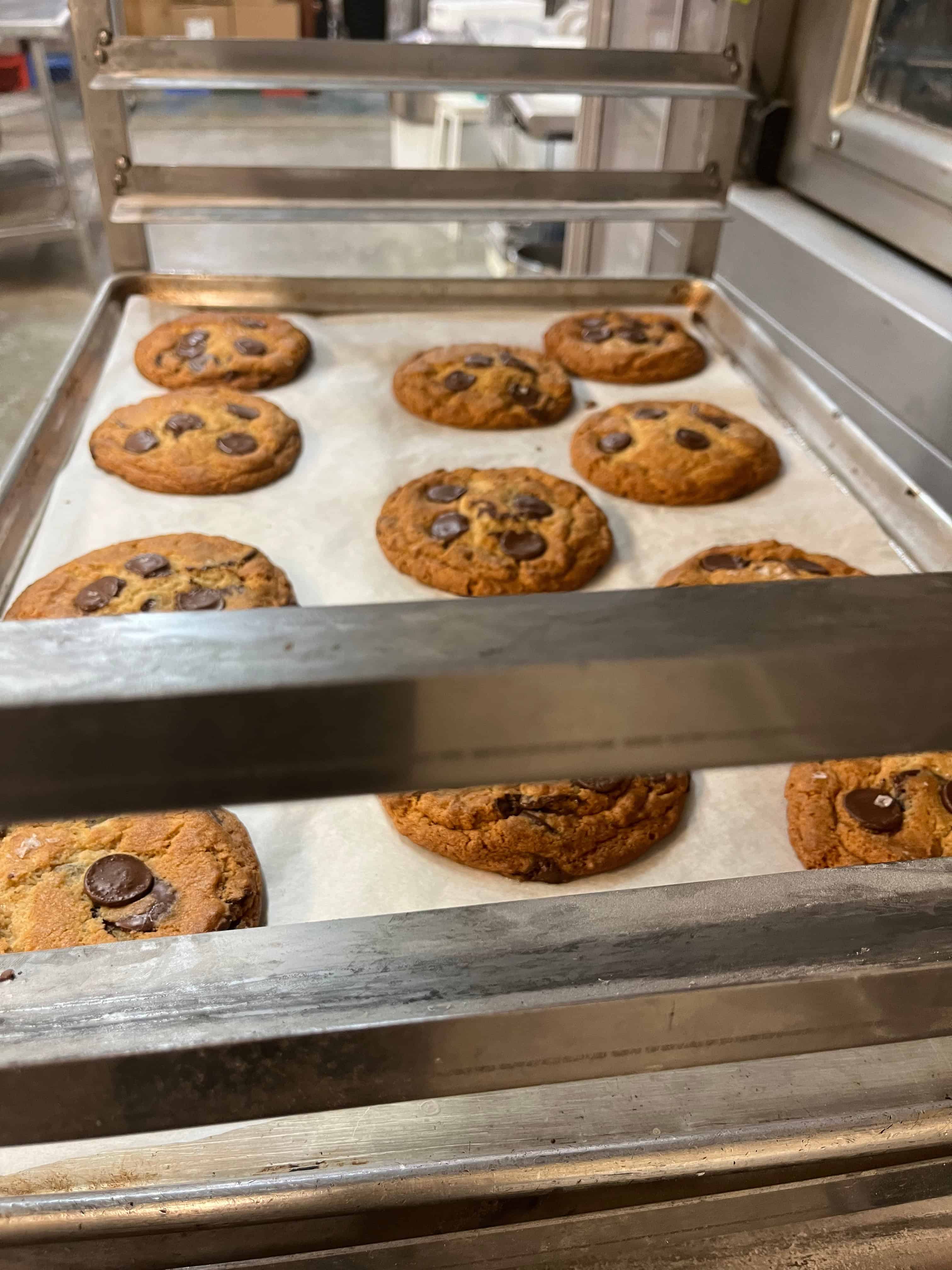 chocolate chip cookies just finished baking.