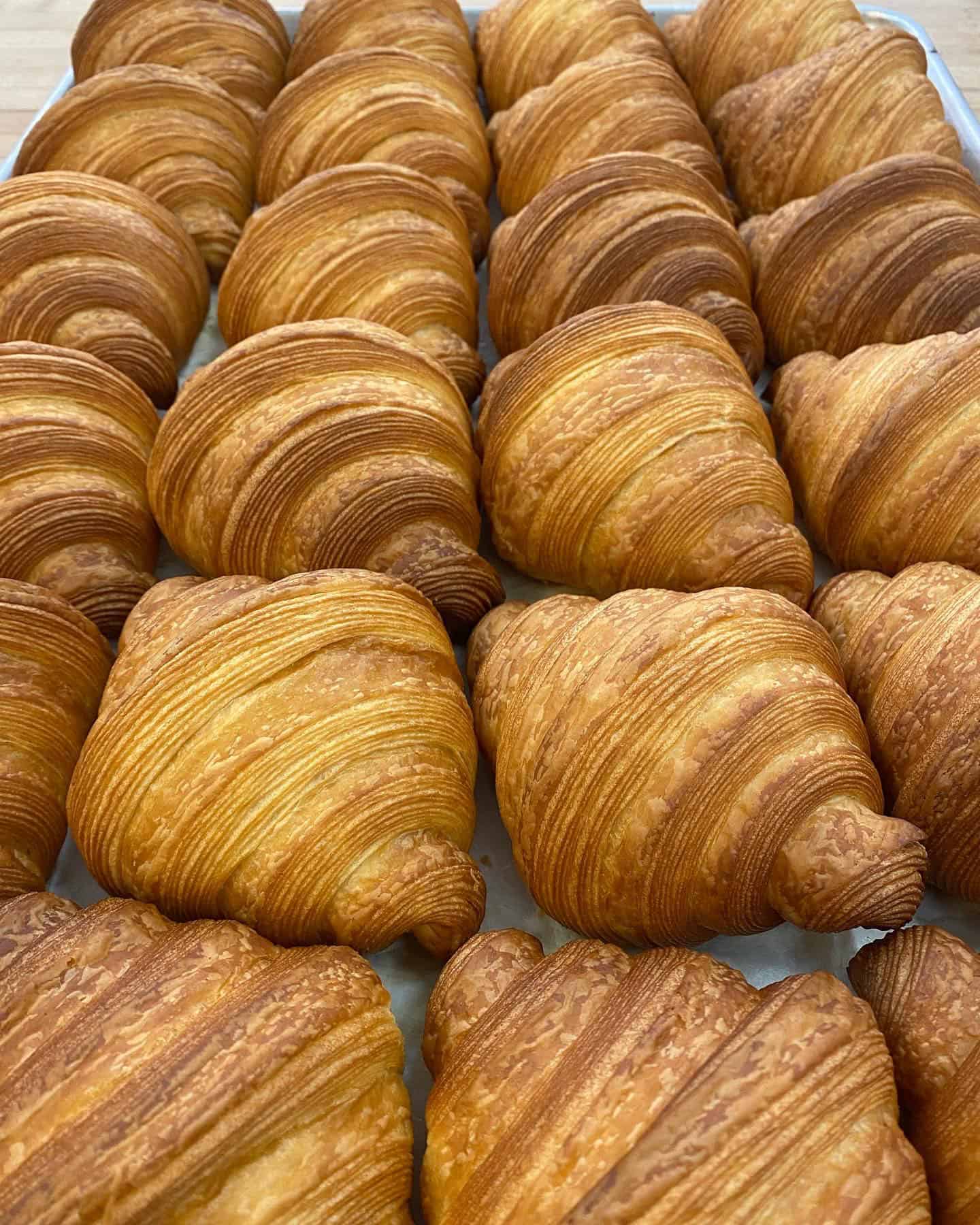 Baked croissants on a tray.
