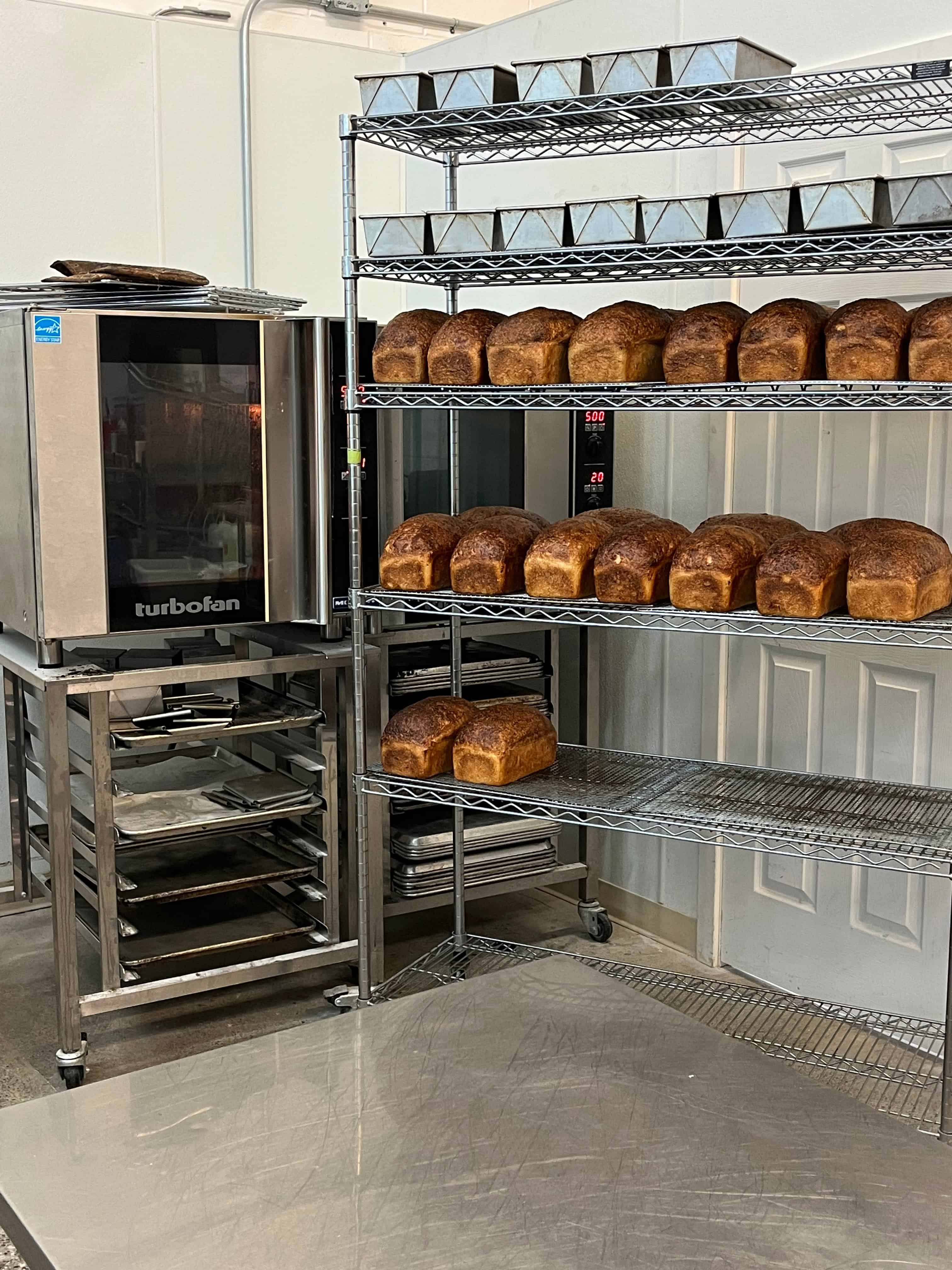 Dozens of loaves, looking identical, cooling on a baker's rack.