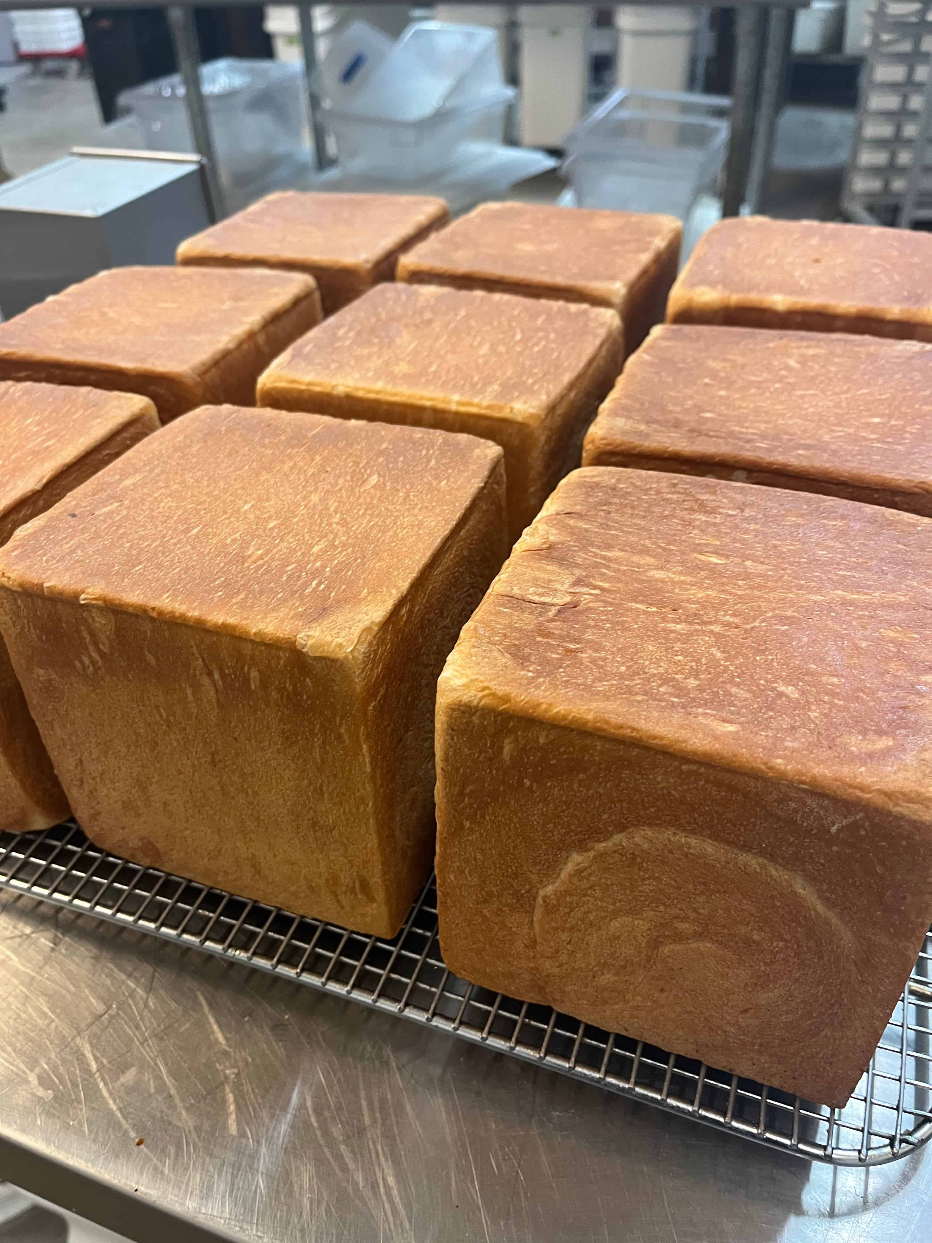 Baking many loaves of shokupan milk bread