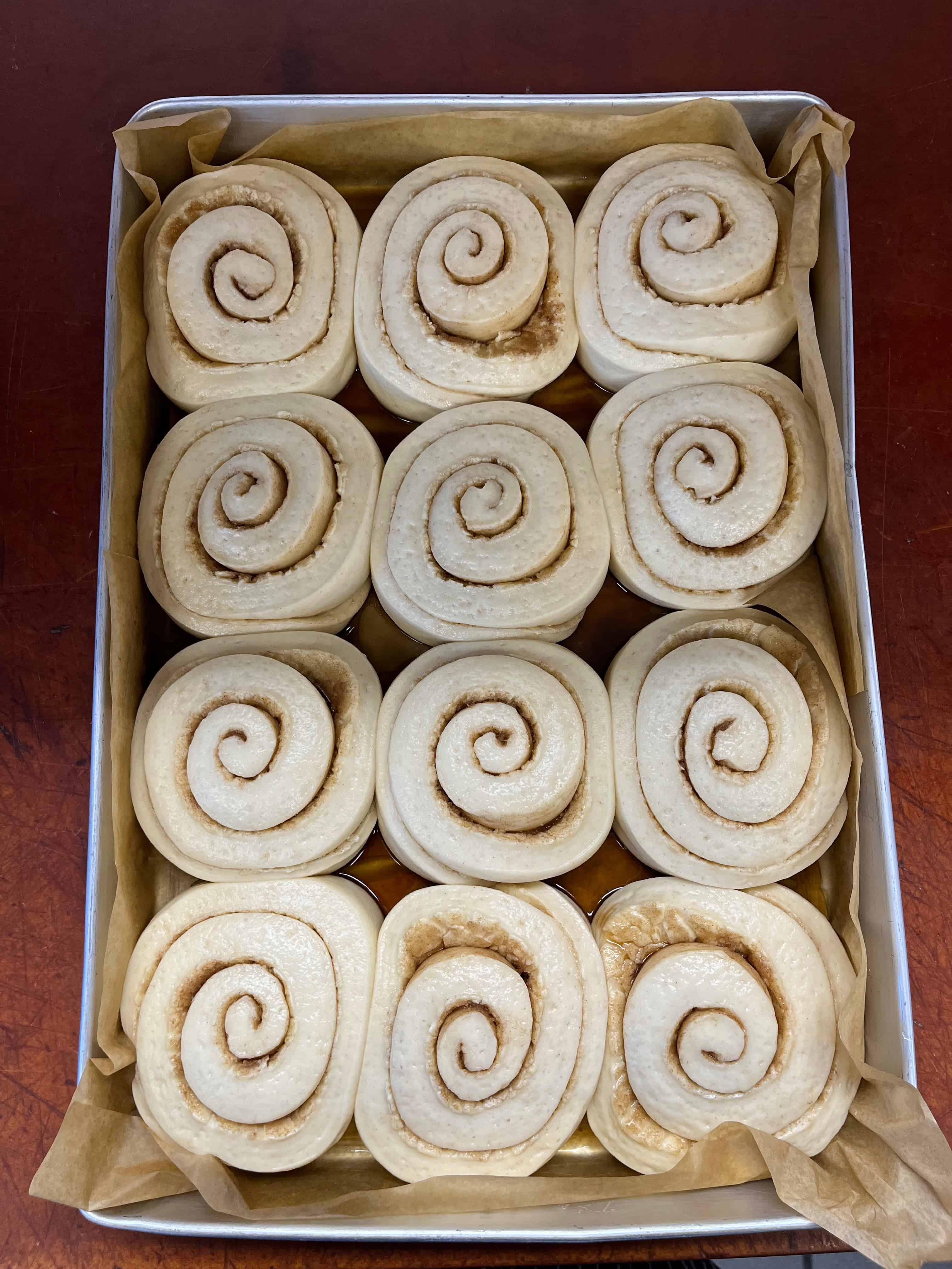 Fully proofed cinnamon rolls ready for the oven