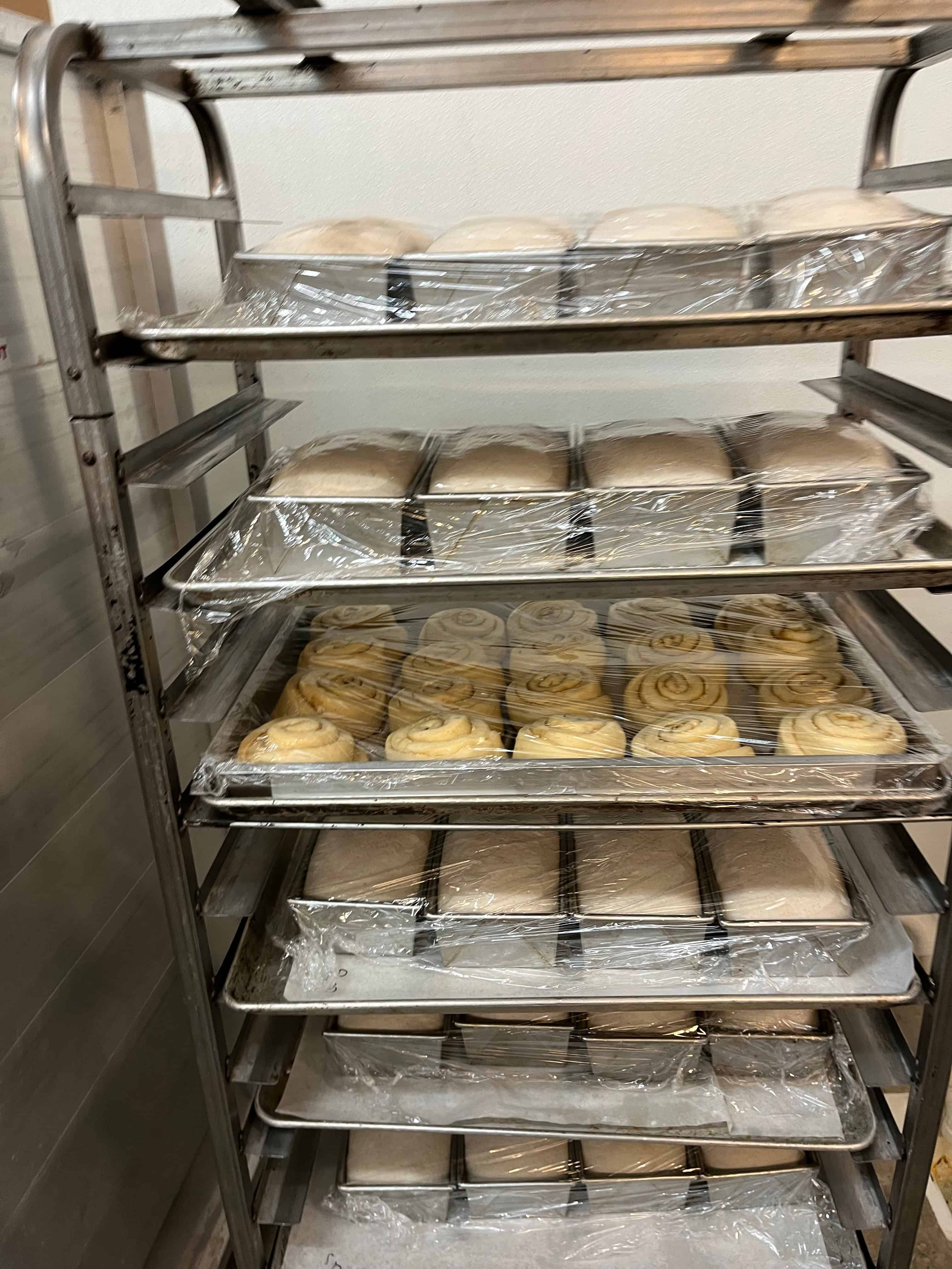 cinnamon rolls wrapped and proofing at room temperature with trays of bread