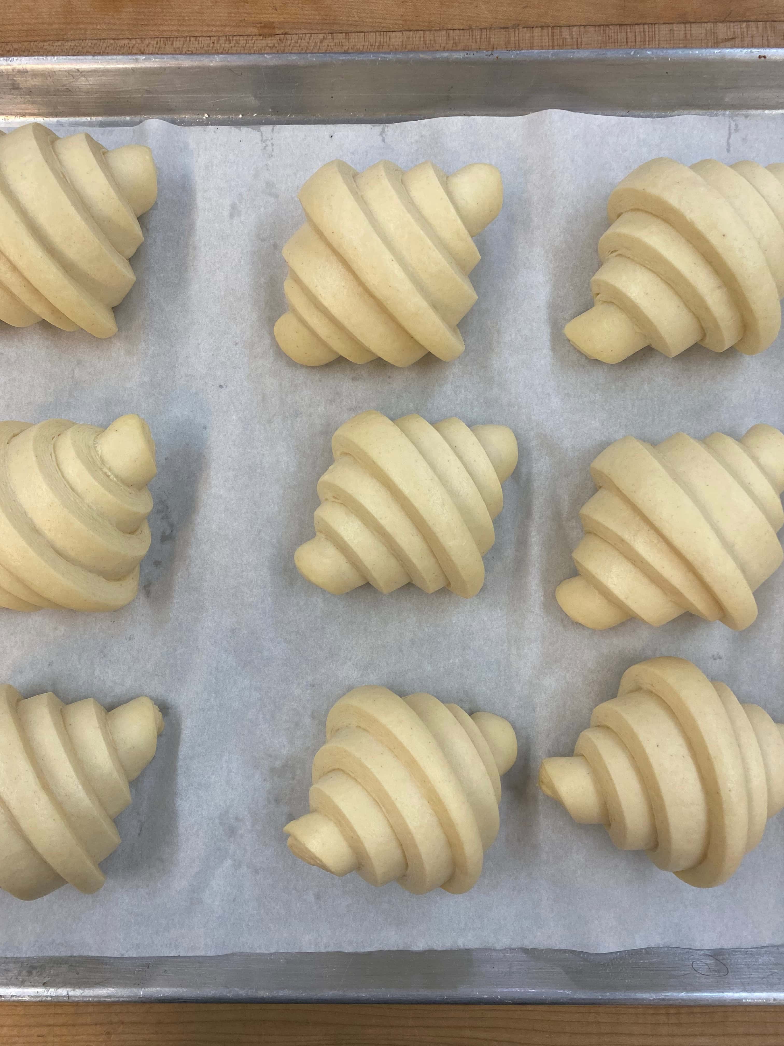 Croissants, puffy and fully proofed. ready for the oven.