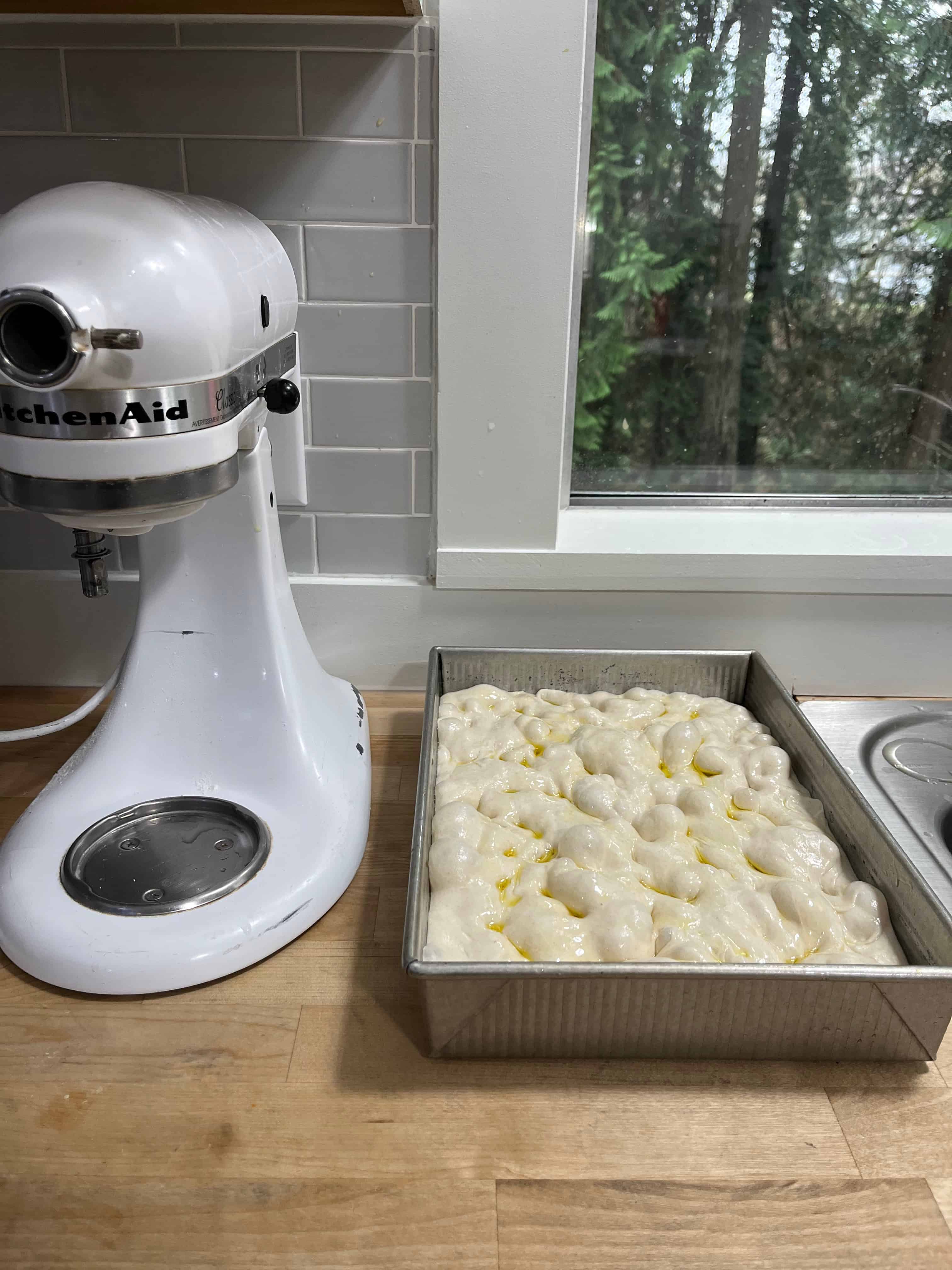 Bubbly focaccia sitting on a counter - well developed dough will hold gas and expand nicely