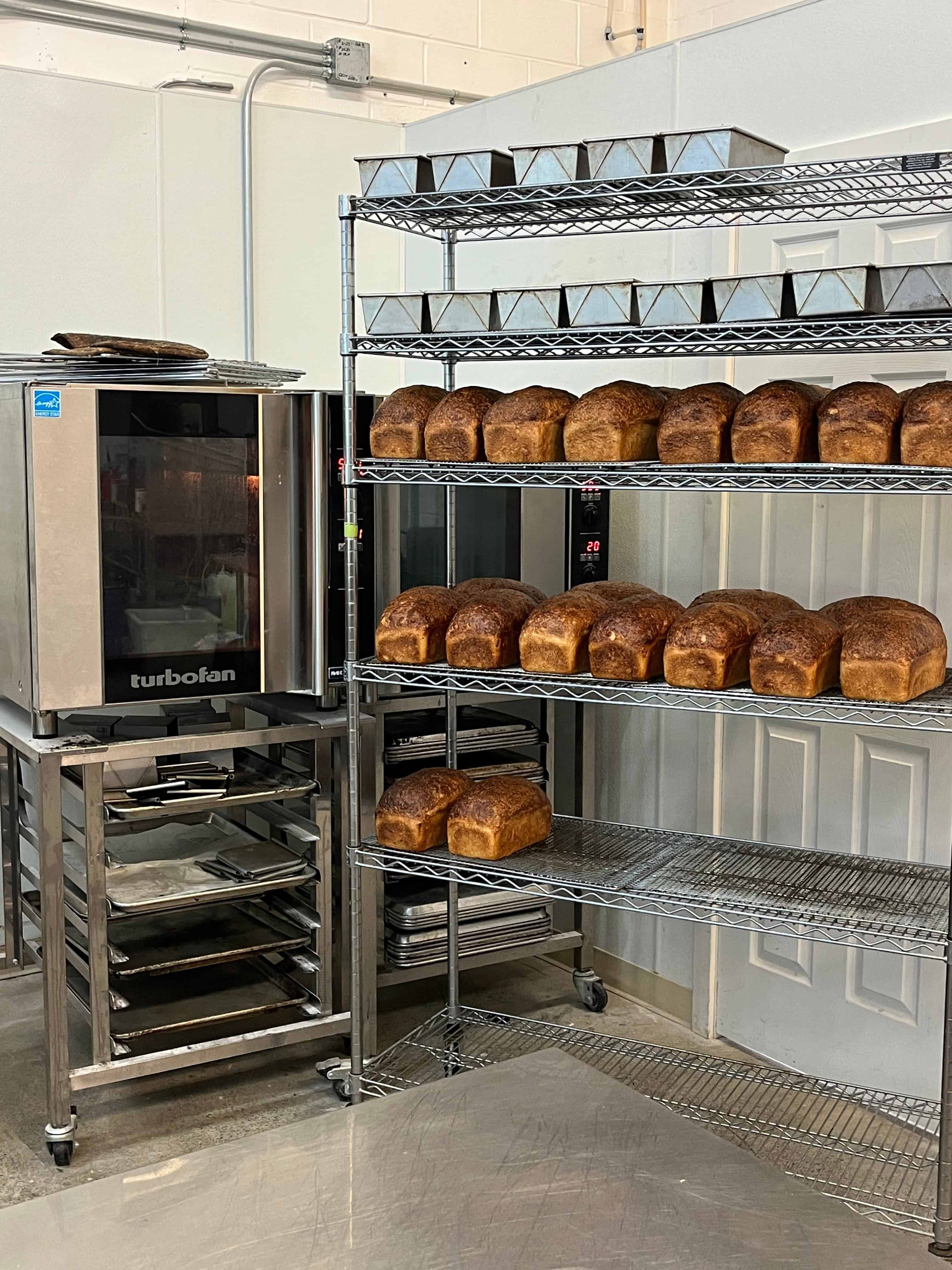 a rack of baked bread loaves