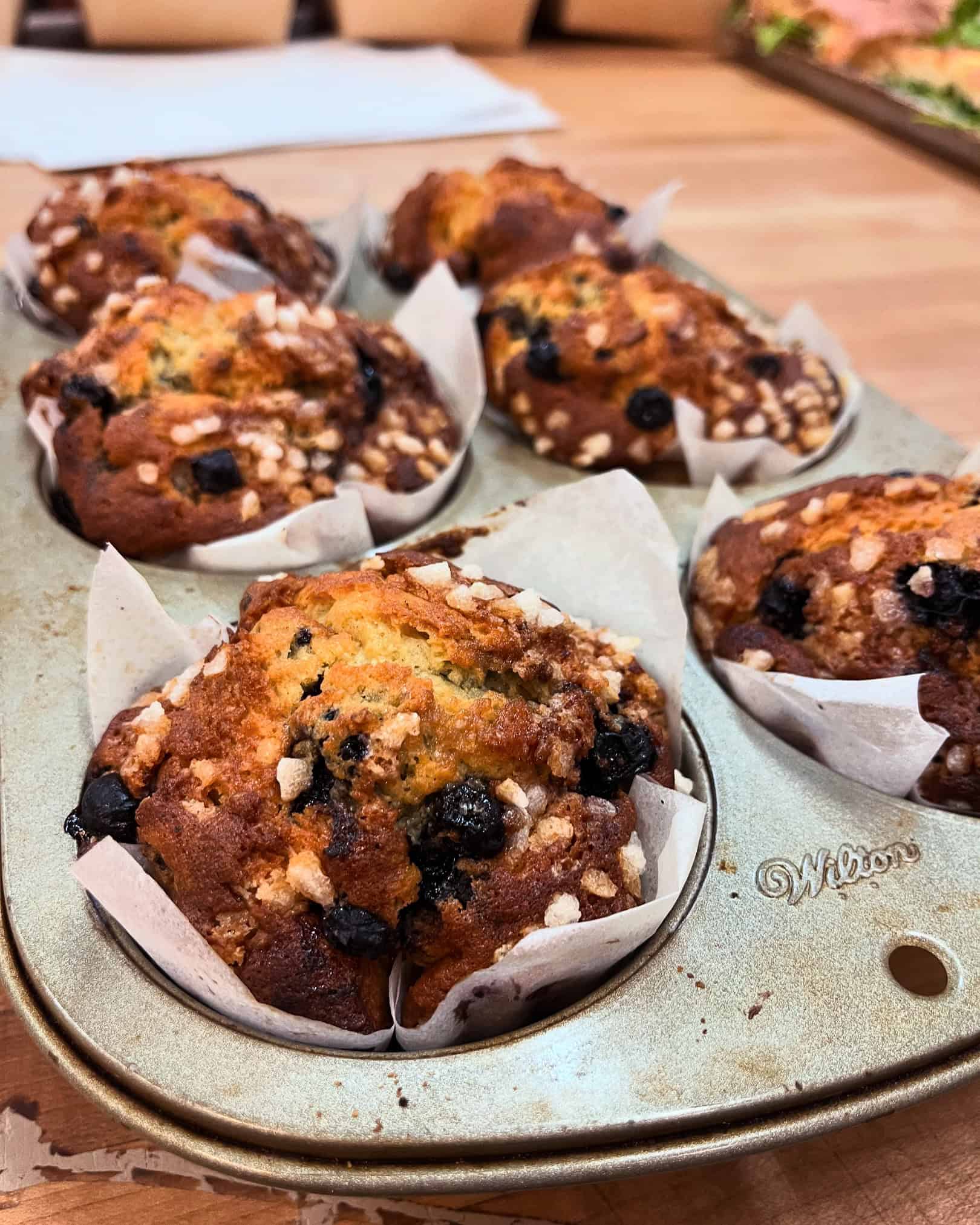 blueberry muffins fresh from the oven
