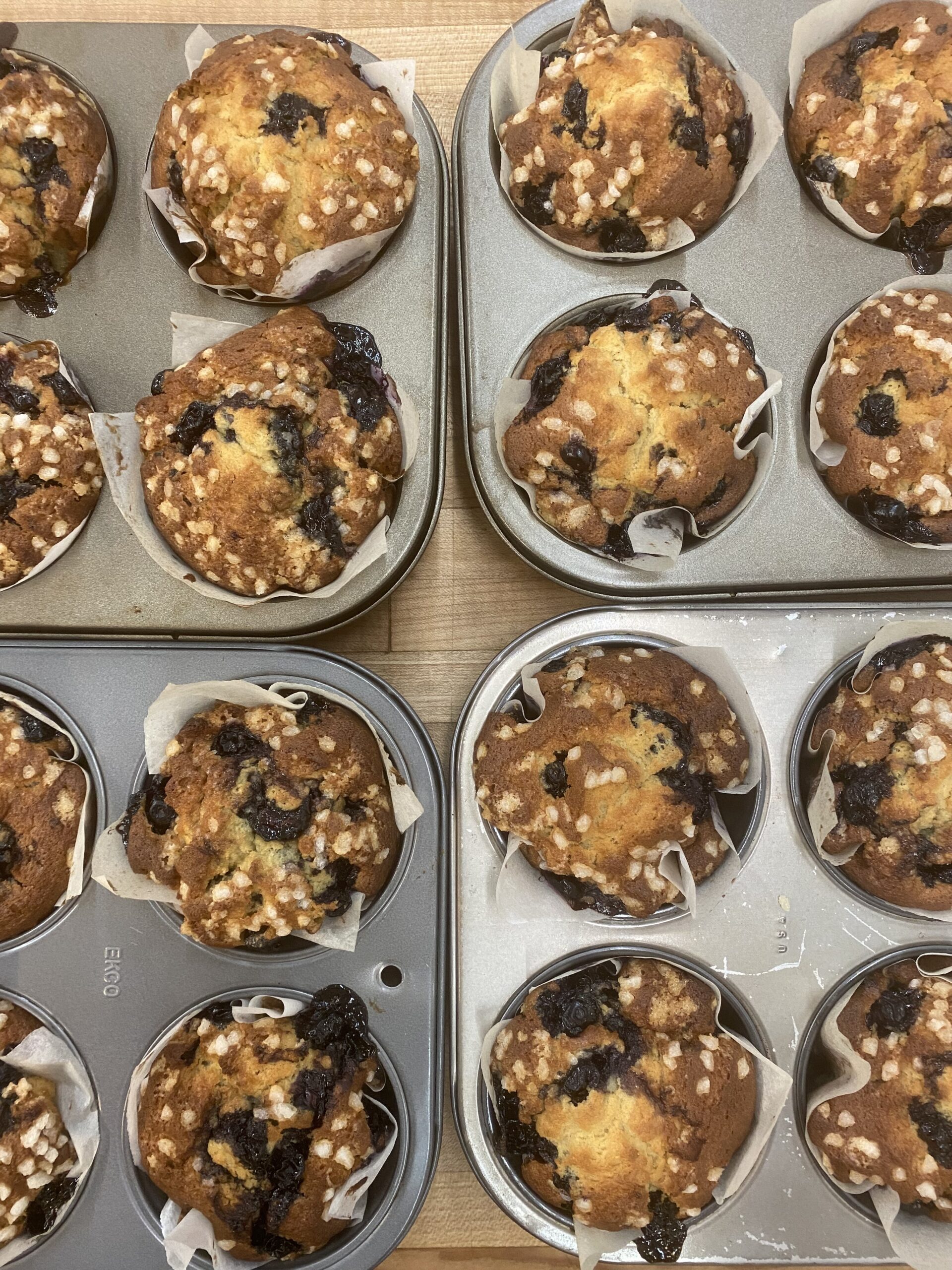 Blueberry muffins fresh out of the oven
