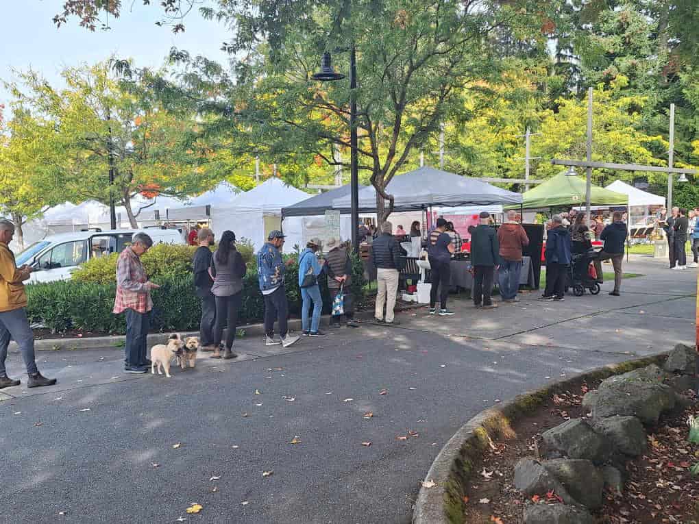 Line of customers at a farmer's market.