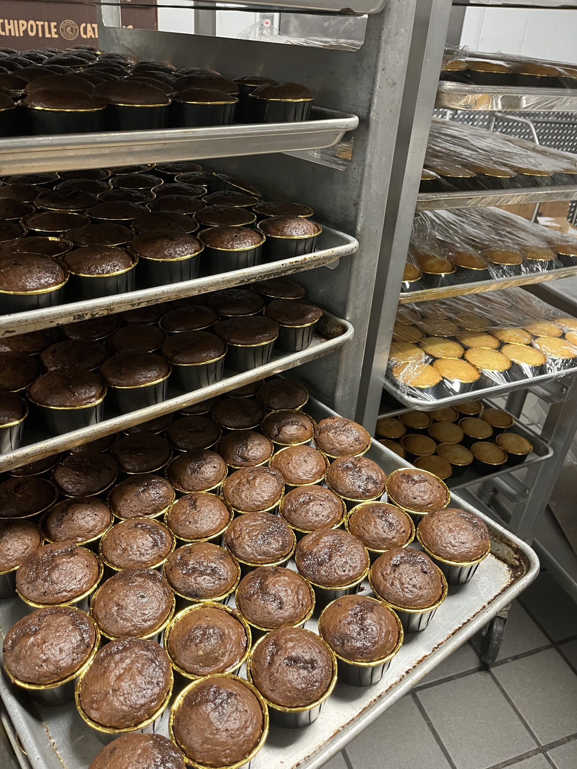 Hundreds of cupcakes on a rack waiting to be decorated.
